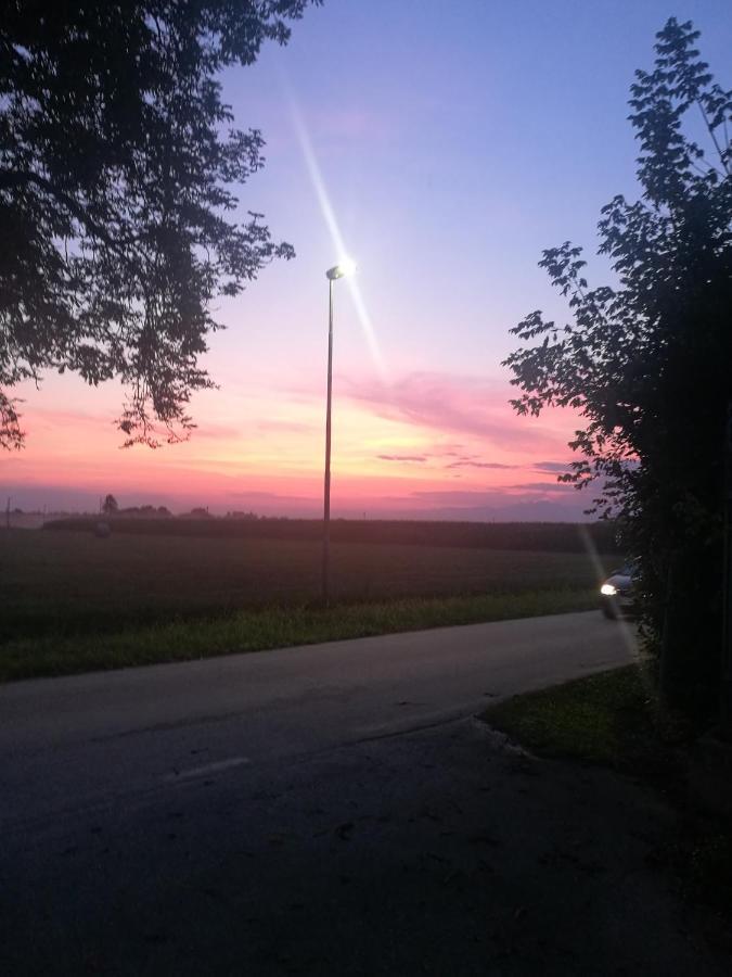 Borgo Dei Conti Della Torre Guest House Morsano al Tagliamento ภายนอก รูปภาพ